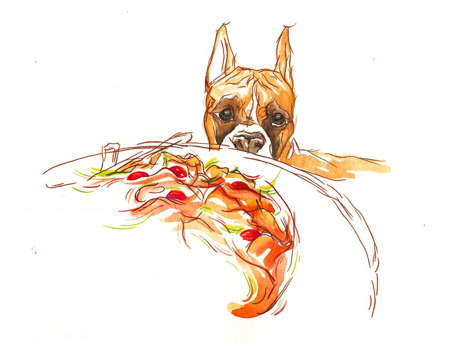 dog illustration