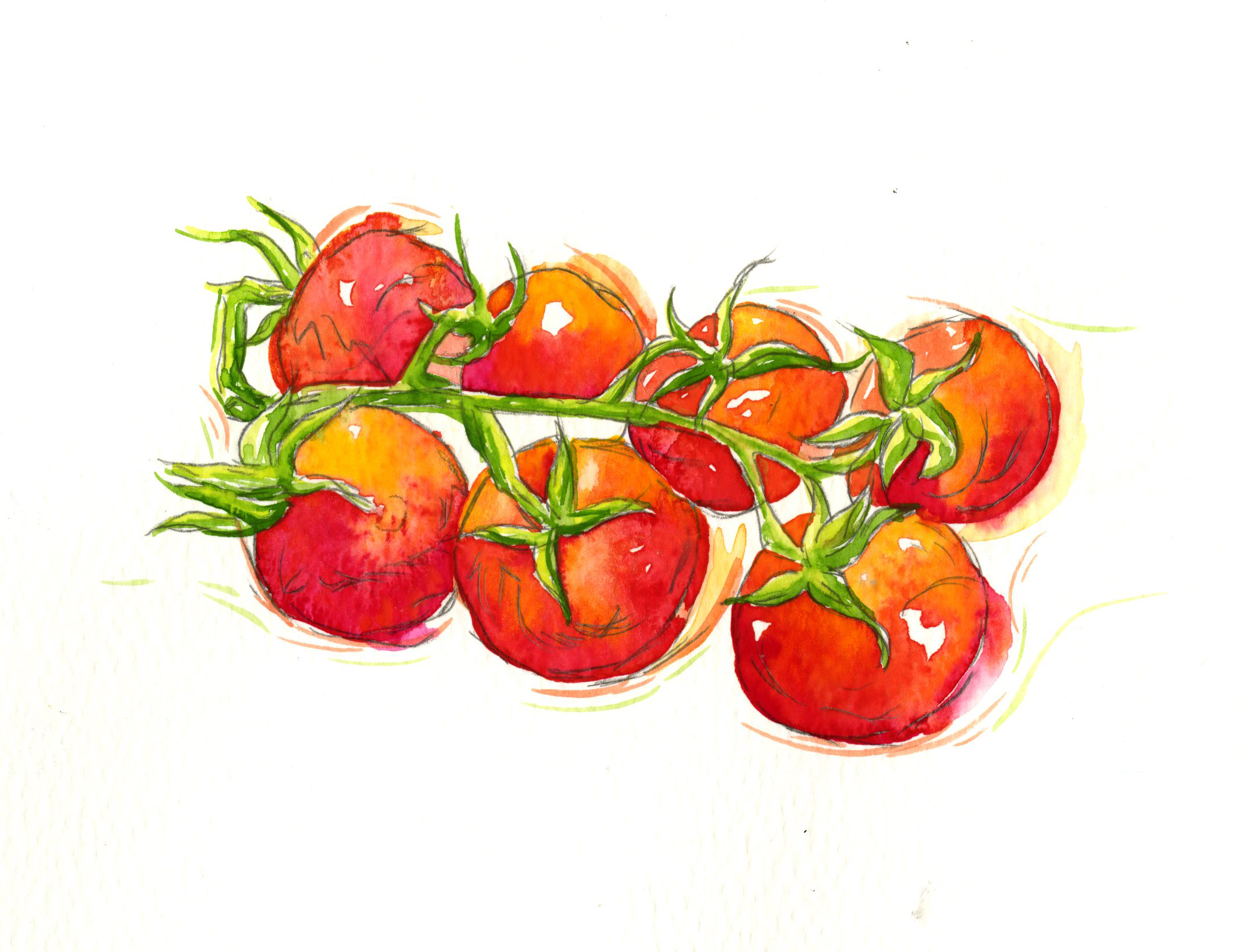 tomato image